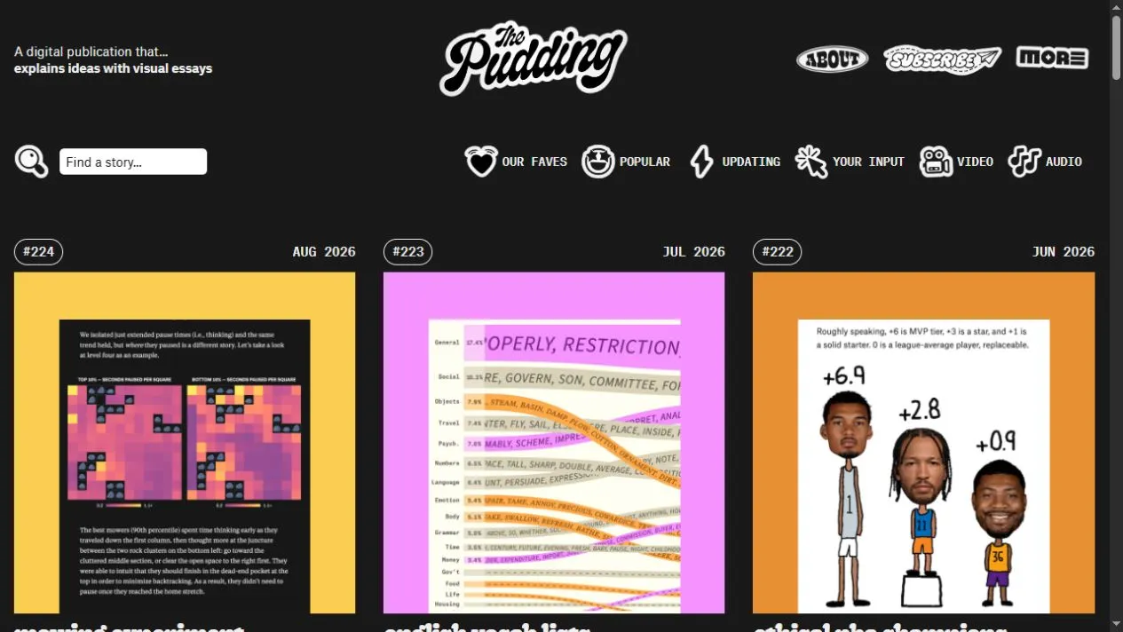 The Pudding website screenshot